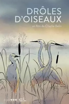 骚母狗求操