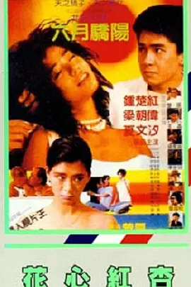 午夜视频在线免费观看