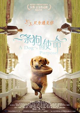 欧美精品一区二区在线观看