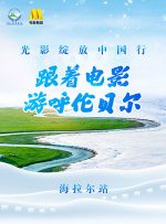 17岁下载