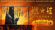 青娱乐91视频