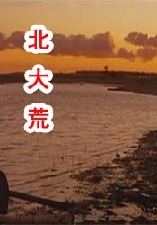 福利视频合集100