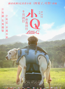 久久99精品久久久久久噜噜丰满