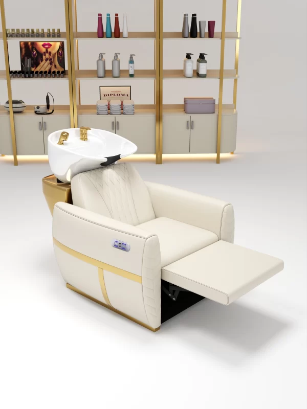SLE002 All-In-One Shampoo Chair Unit|with Matching Bowl, Retractable Footrest