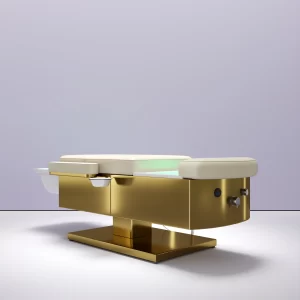 Beauty chair and foot massage bed - H015-07